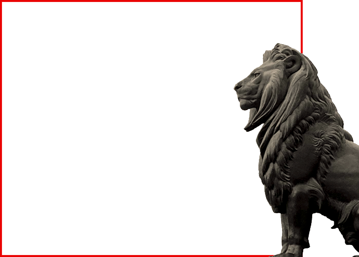 Leeuw-met-kader_714x511